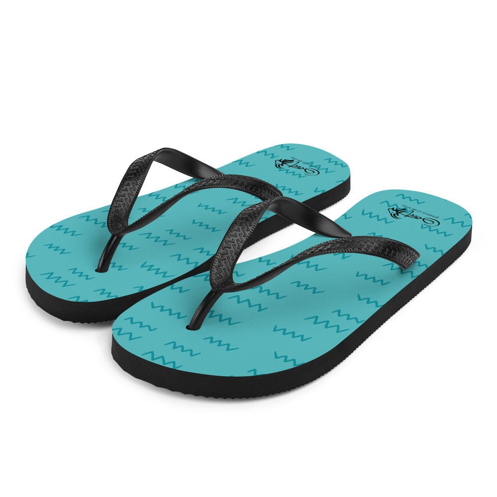 Flip-Flops