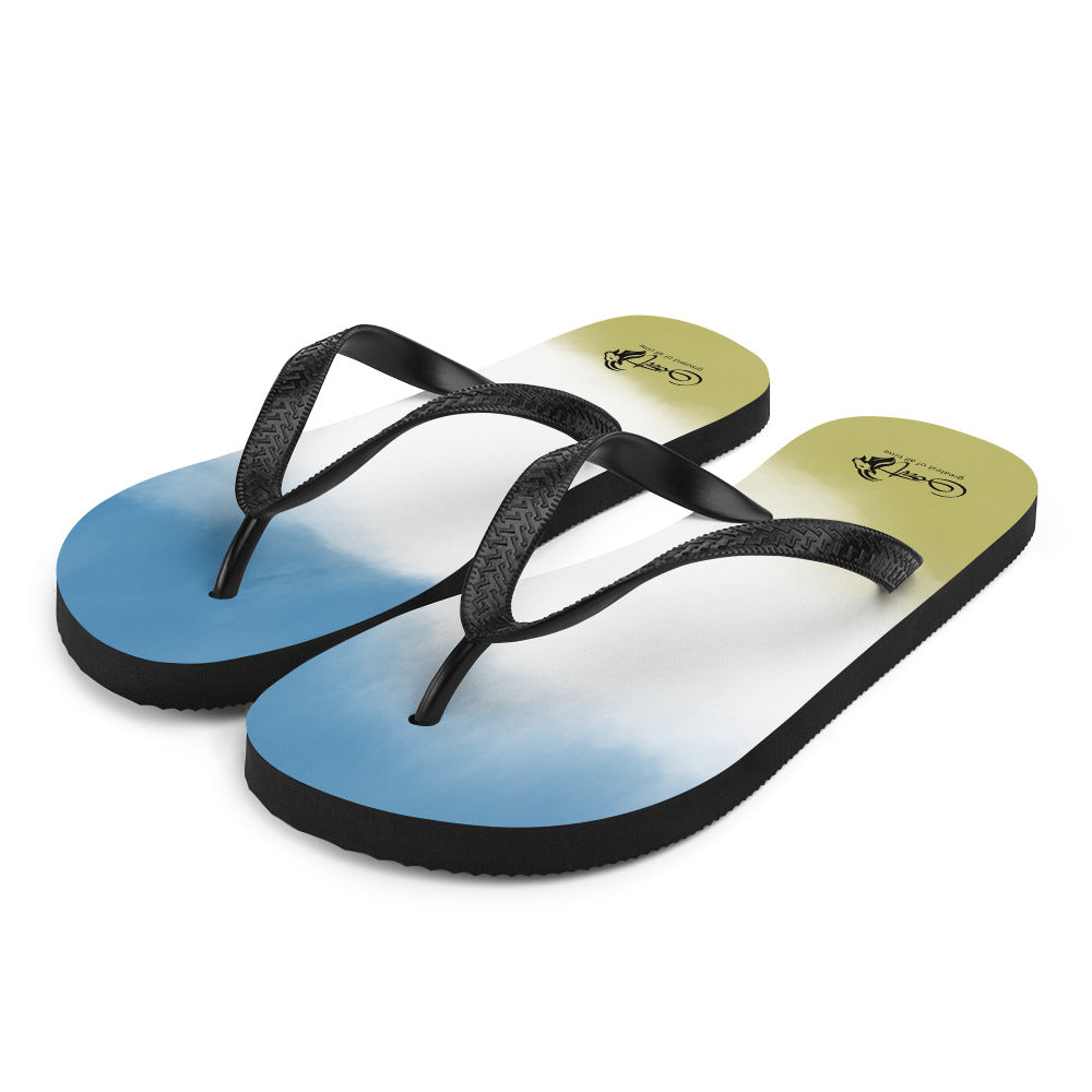 Flip-Flops