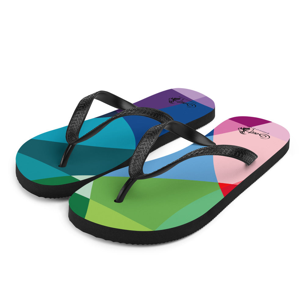 Flip-Flops