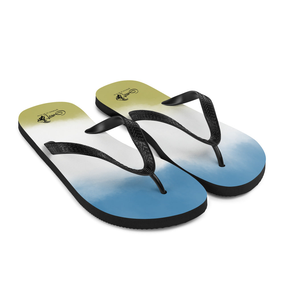 Flip-Flops