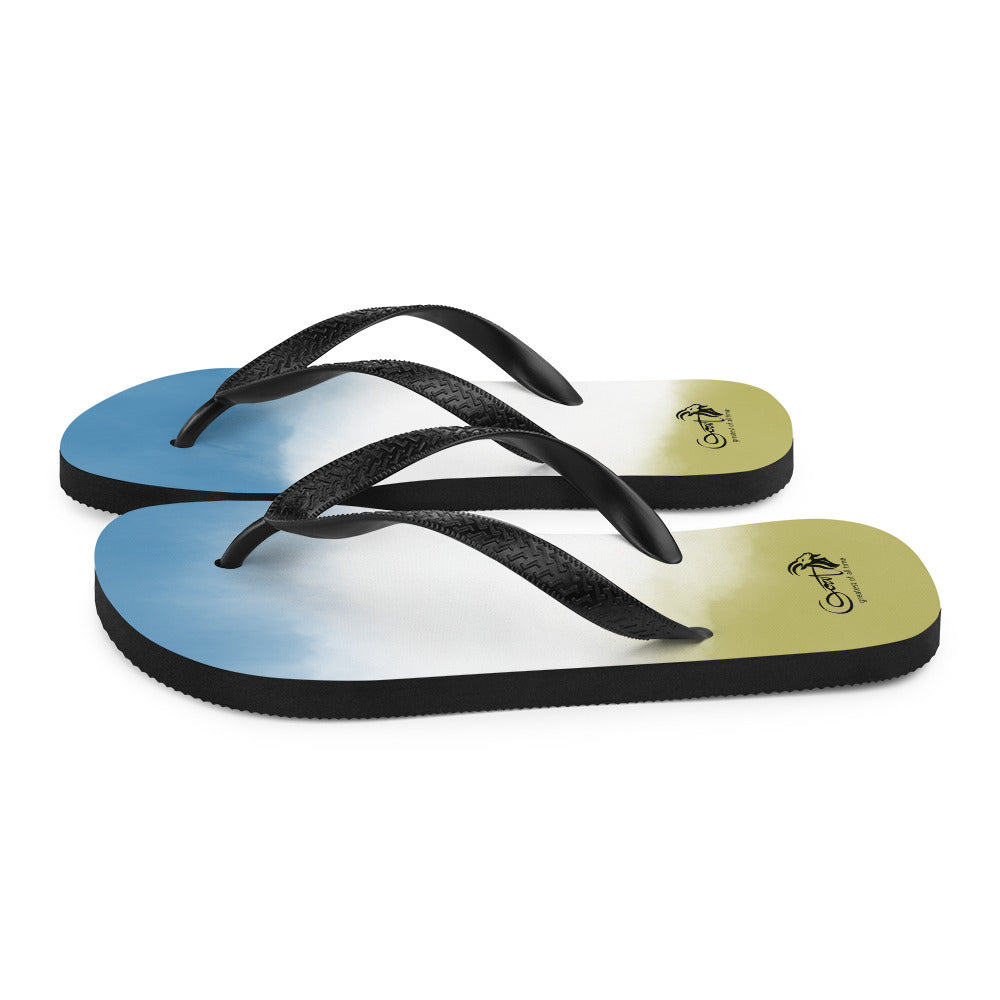 Flip-Flops