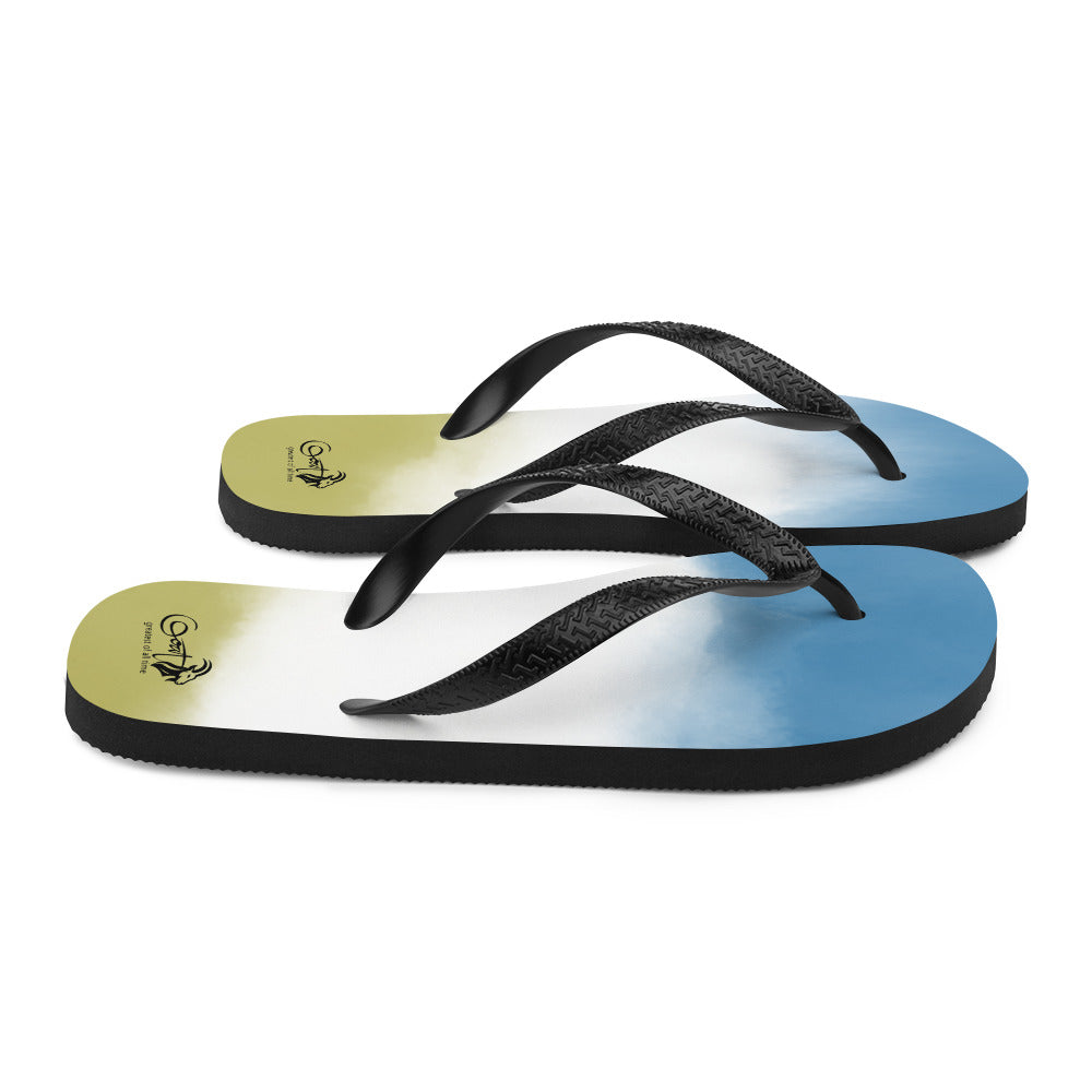 Flip-Flops